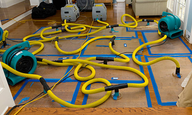 Professional Basement Flood Cleanup technician working in South Prairie, WA