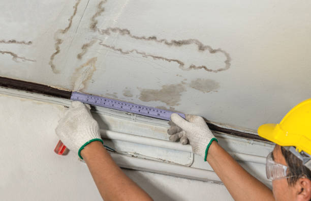 Affordable Water Damage Repair solutions in South Prairie, WA
